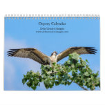 Osprey 2026 Calendar – Majestic Raptor Photography