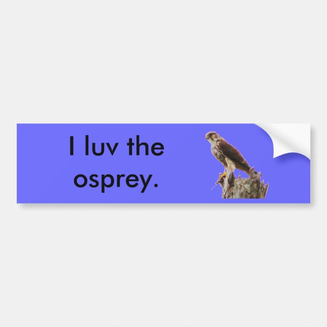 Osprey 2 bumper sticker (Front)