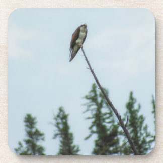 Osprey 9028 beverage coaster