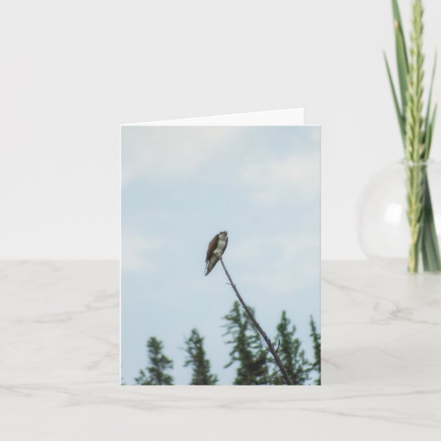 Osprey 9028 card (Front)