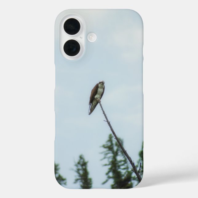 Osprey 9028 Case-Mate iPhone case (Back)