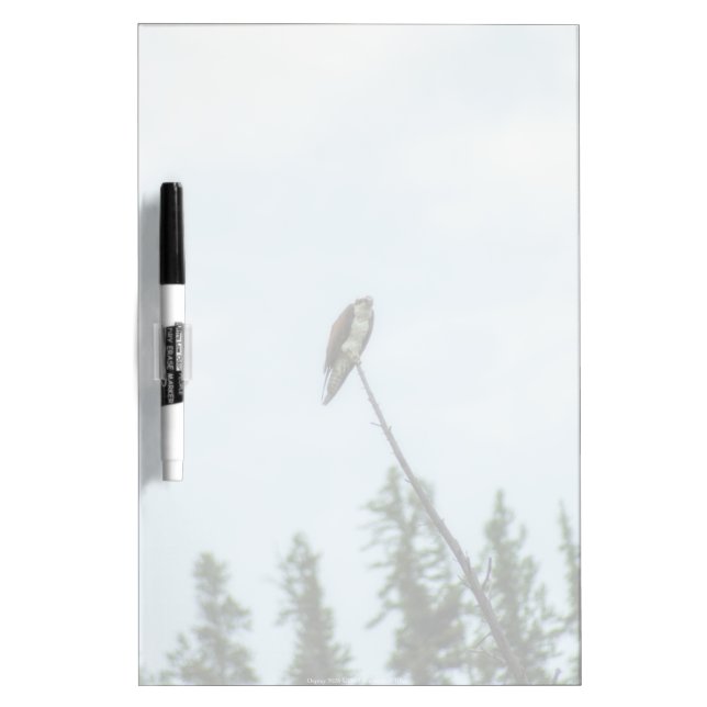 Osprey 9028 dry erase board (Front)