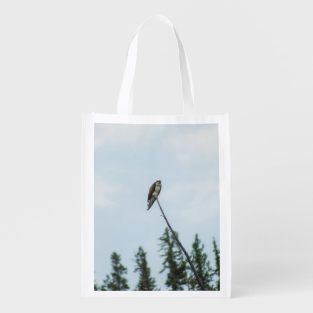 Osprey 9028 grocery bag (Front)