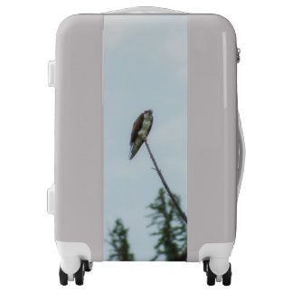 Osprey 9028 luggage