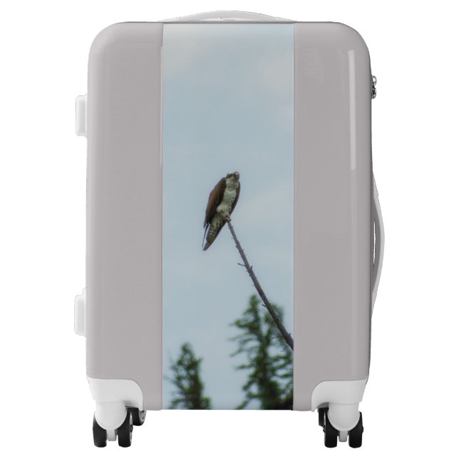 Osprey 9028 luggage (Front)