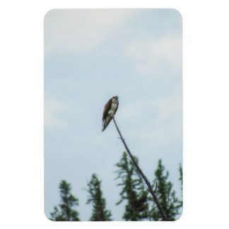 Osprey 9028 magnet