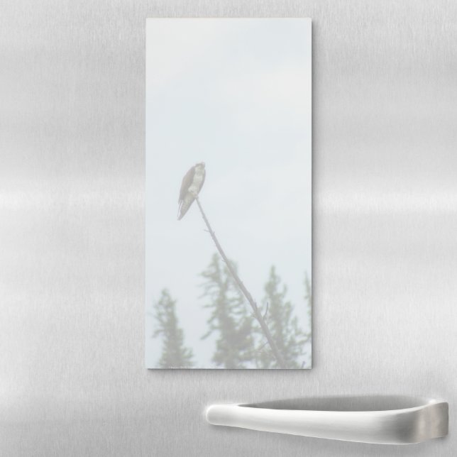 Osprey 9028 magnetic notepad (In Situ)