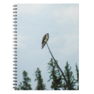 Osprey 9028 notebook