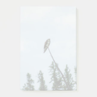Osprey 9028 post-it notes