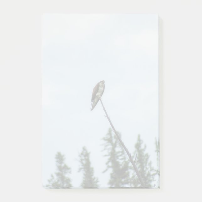 Osprey 9028 post-it notes (Front)