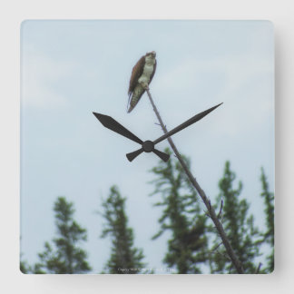 Osprey 9028 square wall clock