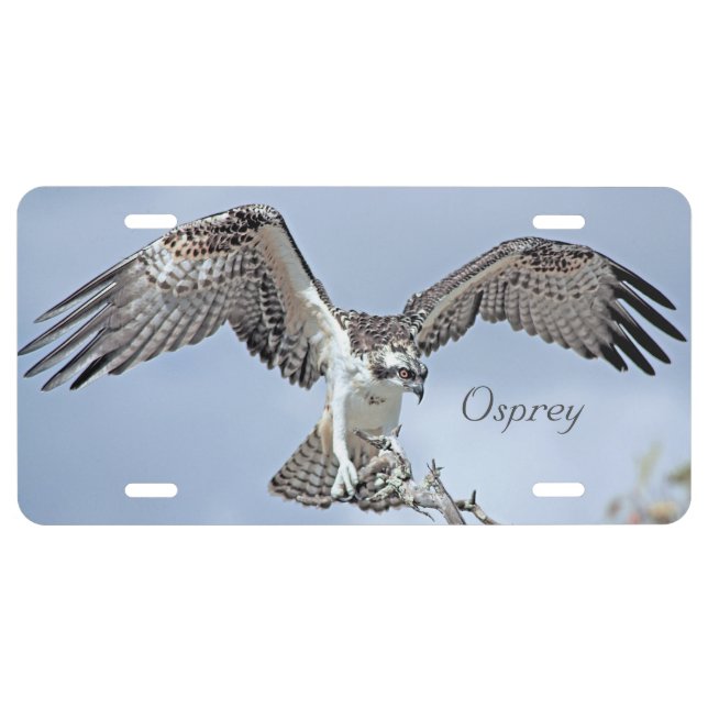Osprey Aluminum Vanity Plate (Front)