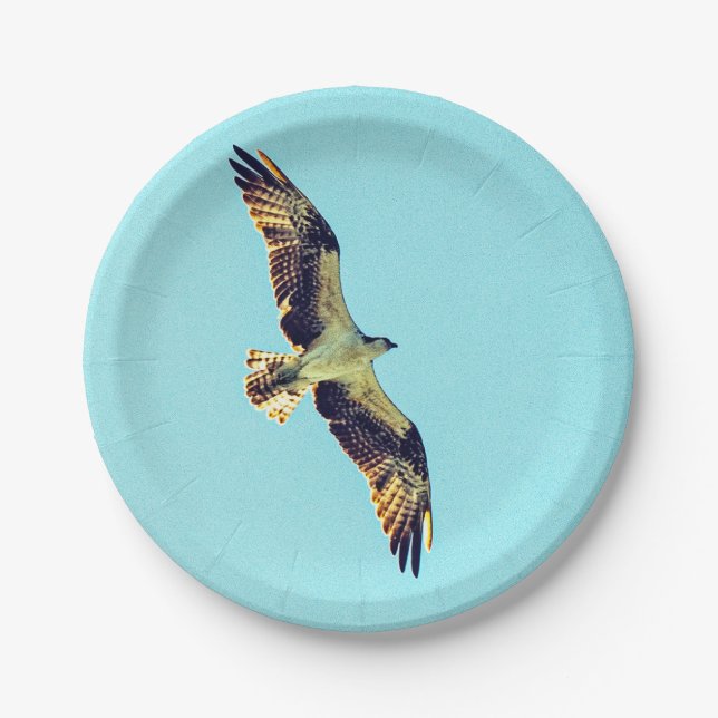 Osprey art paper plates (Front)