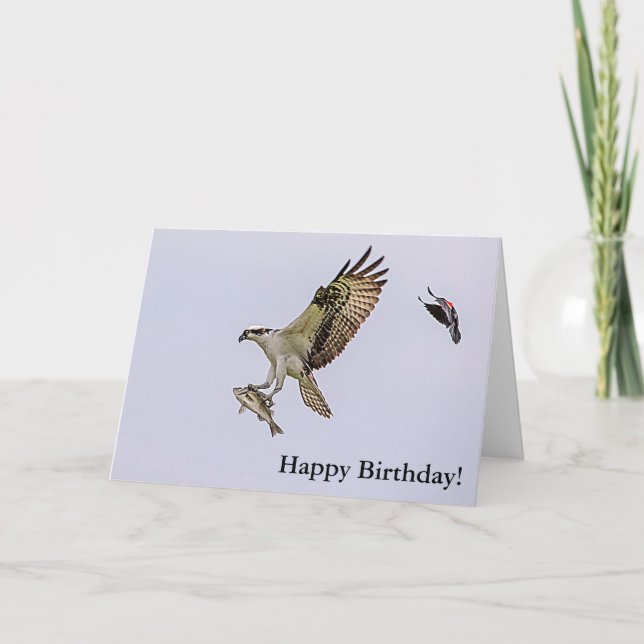 Osprey being chased by a red winged blackbird card (Front)