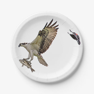 Osprey being chased by a red winged blackbird paper plates