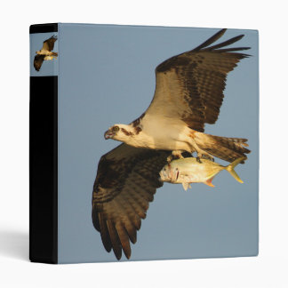 osprey binder