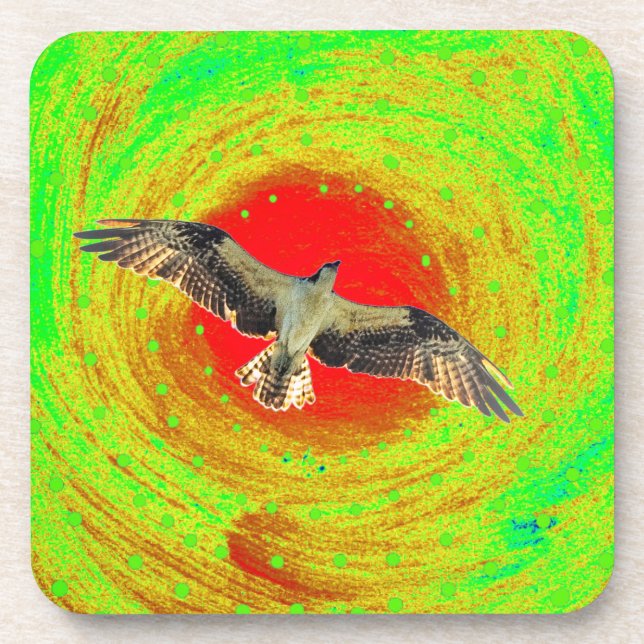 Osprey bird beverage coaster (Front)