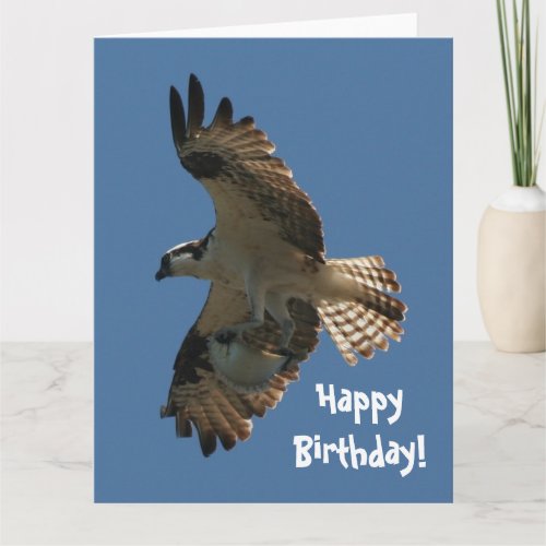 Osprey Bird  Fish Birthday Greeting Card
