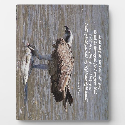 Osprey Bird Fish Wildlife Isaiah Photo Plaque
