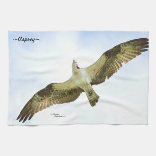 Osprey bird flying Kitchen Towel