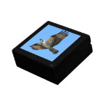 Osprey Bird Gift Box