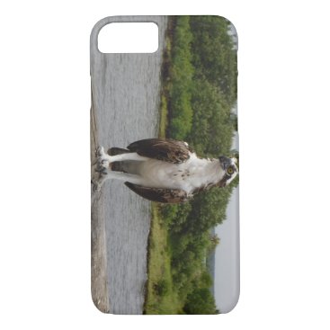 Osprey bird iPhone 7 case Osprey bird iPhone 7 case