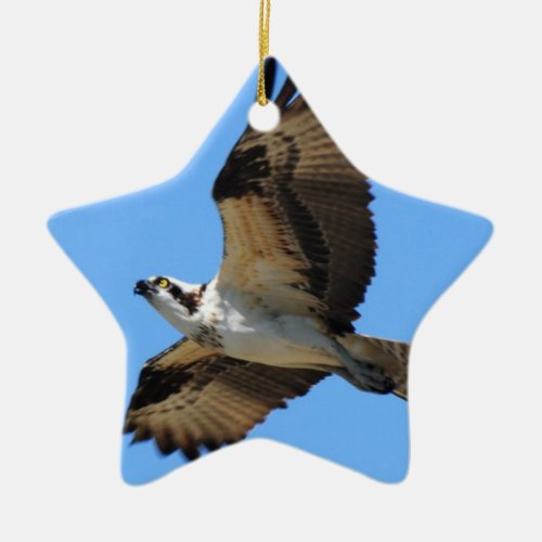 Osprey Bird Ornament