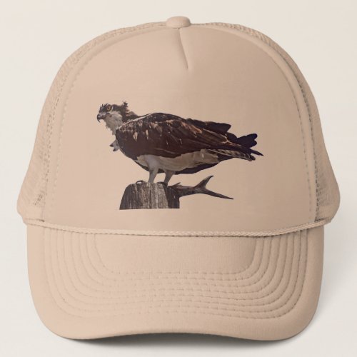 Osprey Bird Trucker Hat