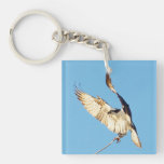 Osprey Birds Flying Acrylic Keychain at Zazzle