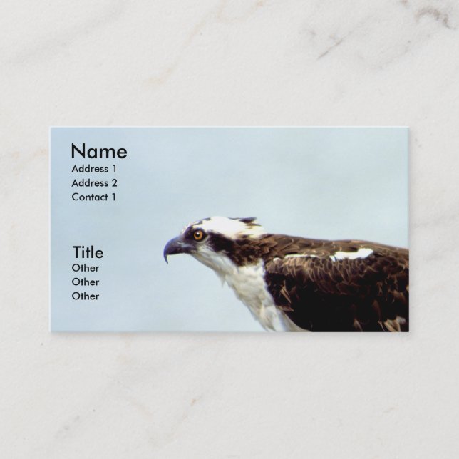 Osprey Business Card (Front)