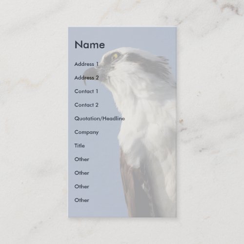 osprey business cards