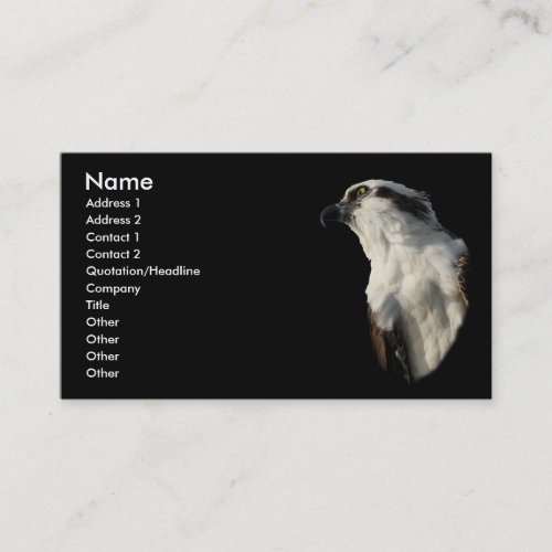 osprey business cards