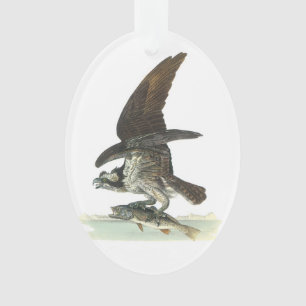 Osprey by Audubon Ornament