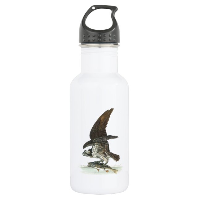 Osprey by Audubon Water Bottle (Front)
