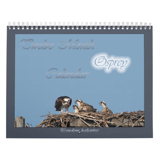 Osprey Calendar (Cover)