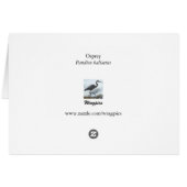 Osprey Cards (Back Horizontal)