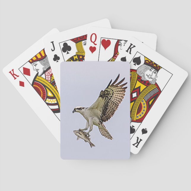 Osprey carrying a fish poker cards (Back)