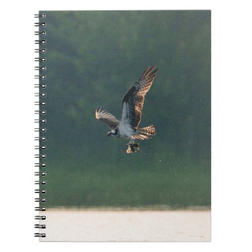 Osprey Catch Notebook