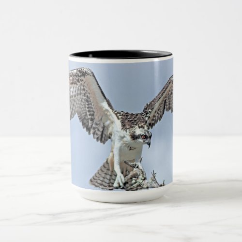 Osprey Ceramic Mug