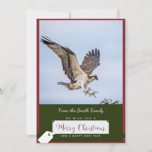 Osprey Christmas Card