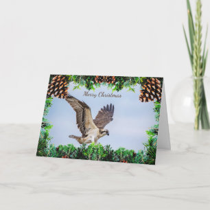 Osprey Christmas Card