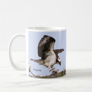 Osprey Coffee Mug by BirdingCollectibles