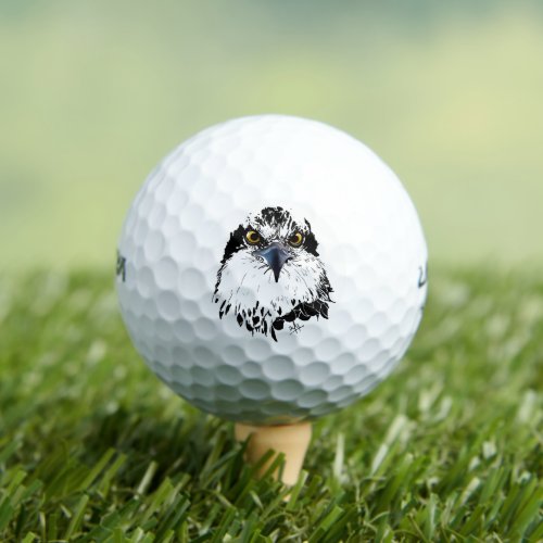 Osprey Drawing Black White with Piercing Eyes Golf Balls