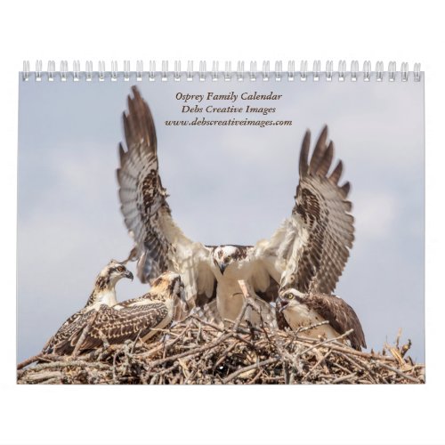 Osprey Family 2024 Calendar