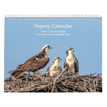 Osprey Family 2024 Calendar by debscreative at Zazzle