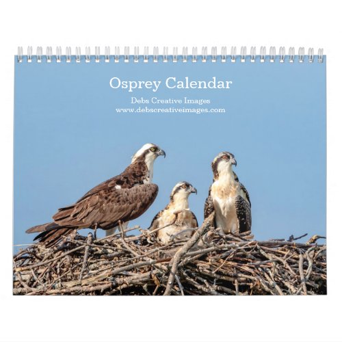 Osprey Family 2024 Calendar