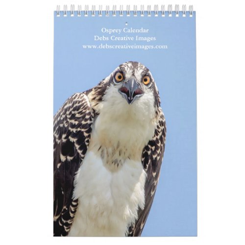 Osprey Family 2025 Calendar