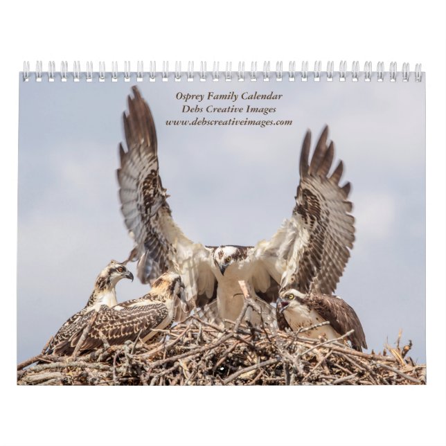 Osprey Family 2026 Calendar – Wildlife Photography (Cover)
