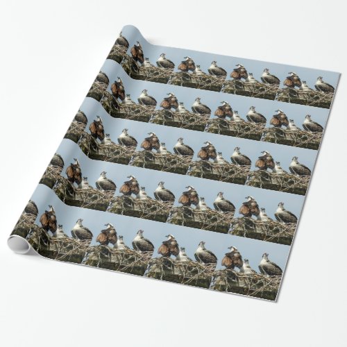 Osprey family bird Wrapping Paper