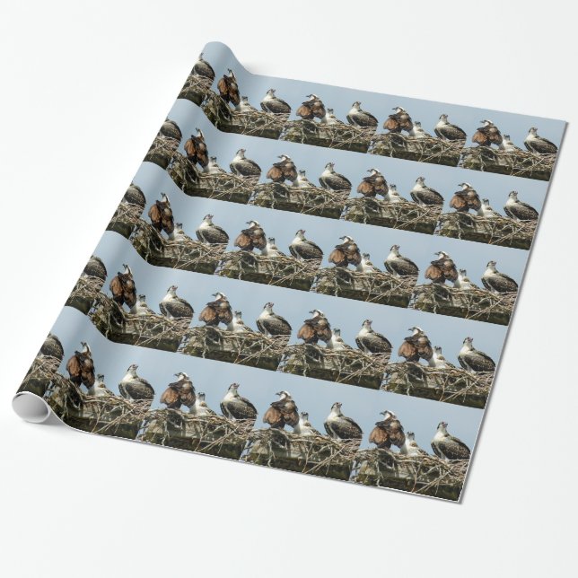 Osprey family bird Wrapping Paper (Unrolled)